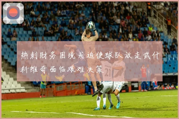 热刺财务困境或迫使球队放走武什科维奇面临艰难决策