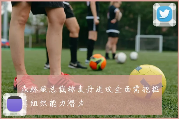 森林狼总裁称麦丹进攻全面需挖掘其组织能力潜力